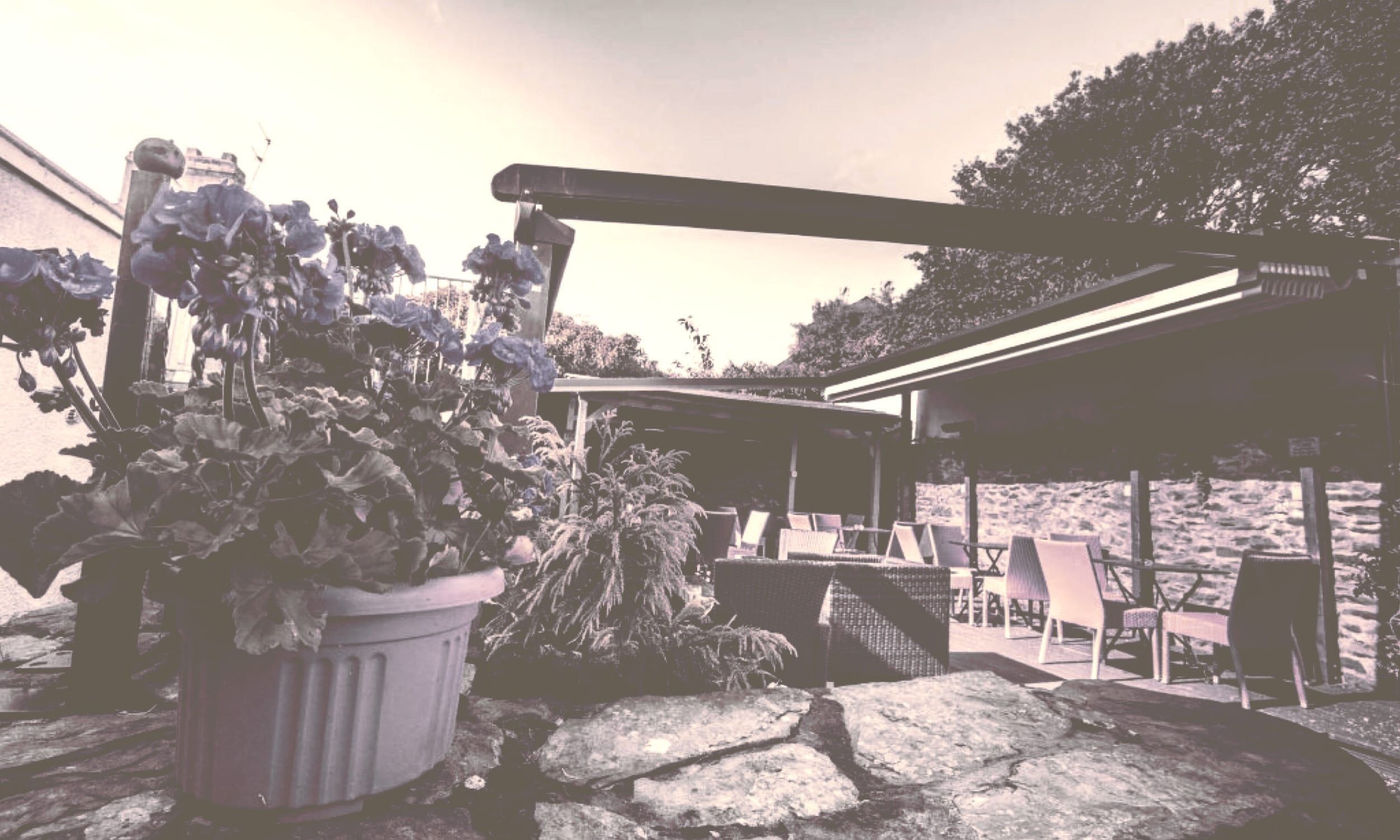 Private Events & Special Occasions